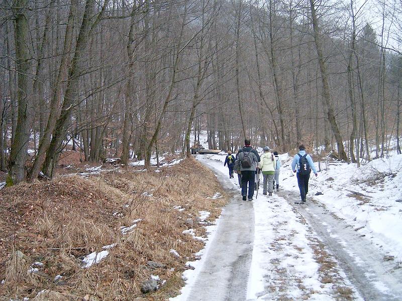 20110219 051.jpg